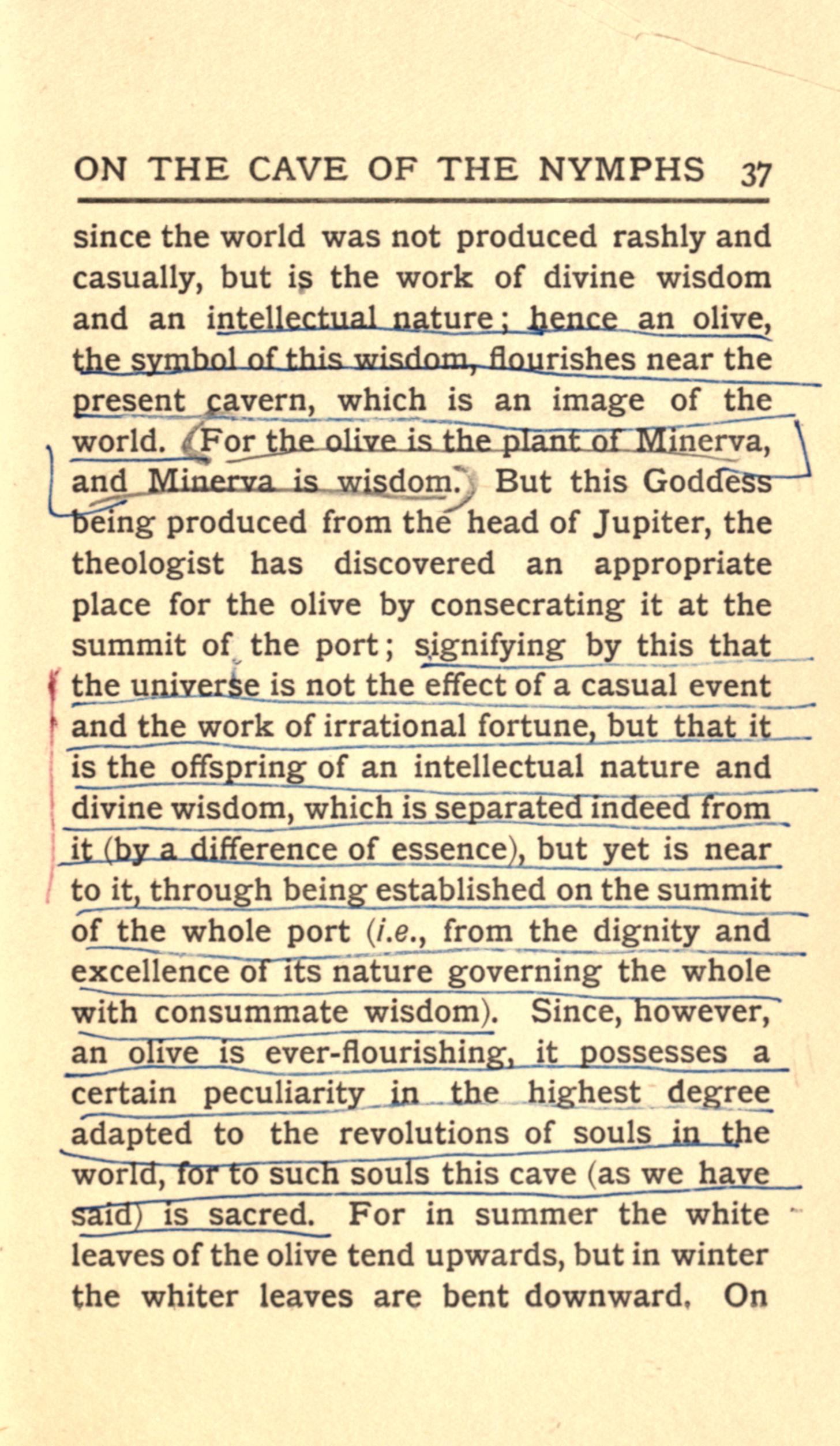 archive leaf n42 — the page image this reading was decided from