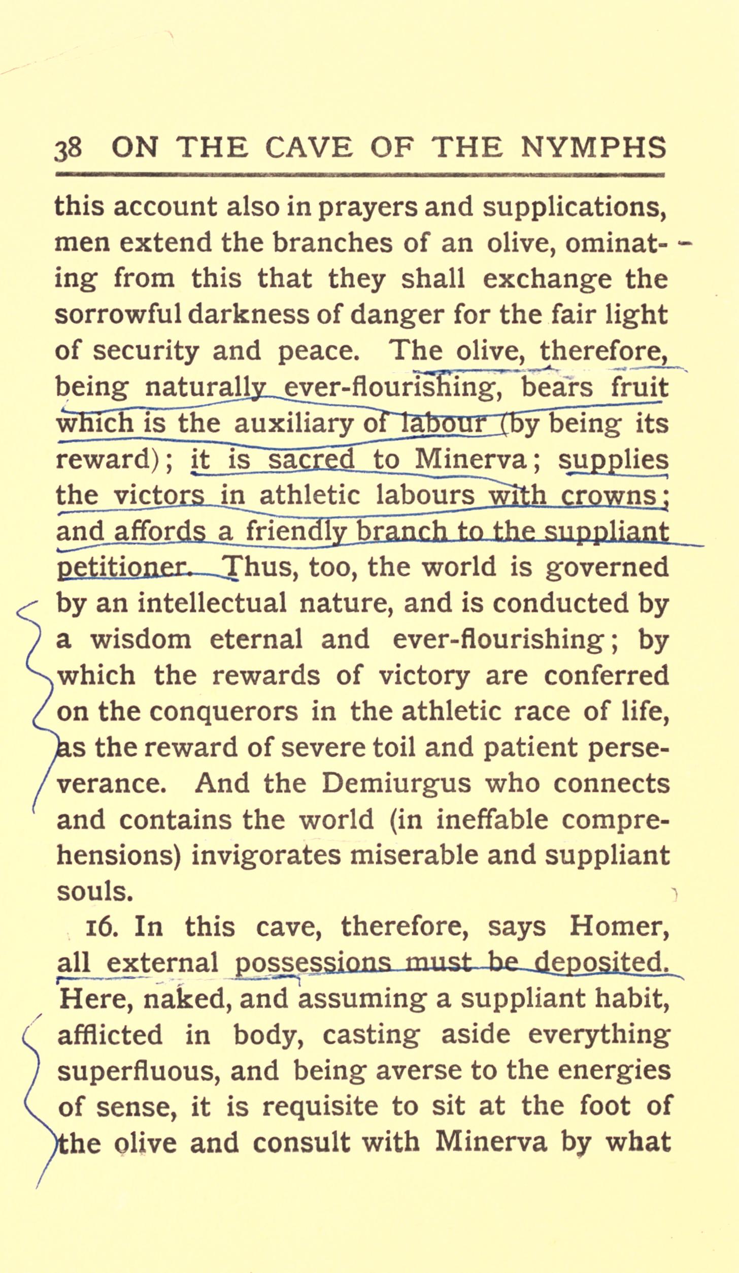 archive leaf n43 — the page image this reading was decided from